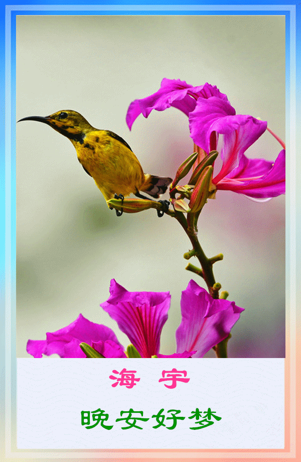 背景音乐:梦中想着你.演唱:门丽.