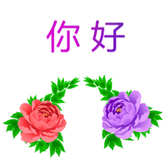 240_240gif 动态图 动图