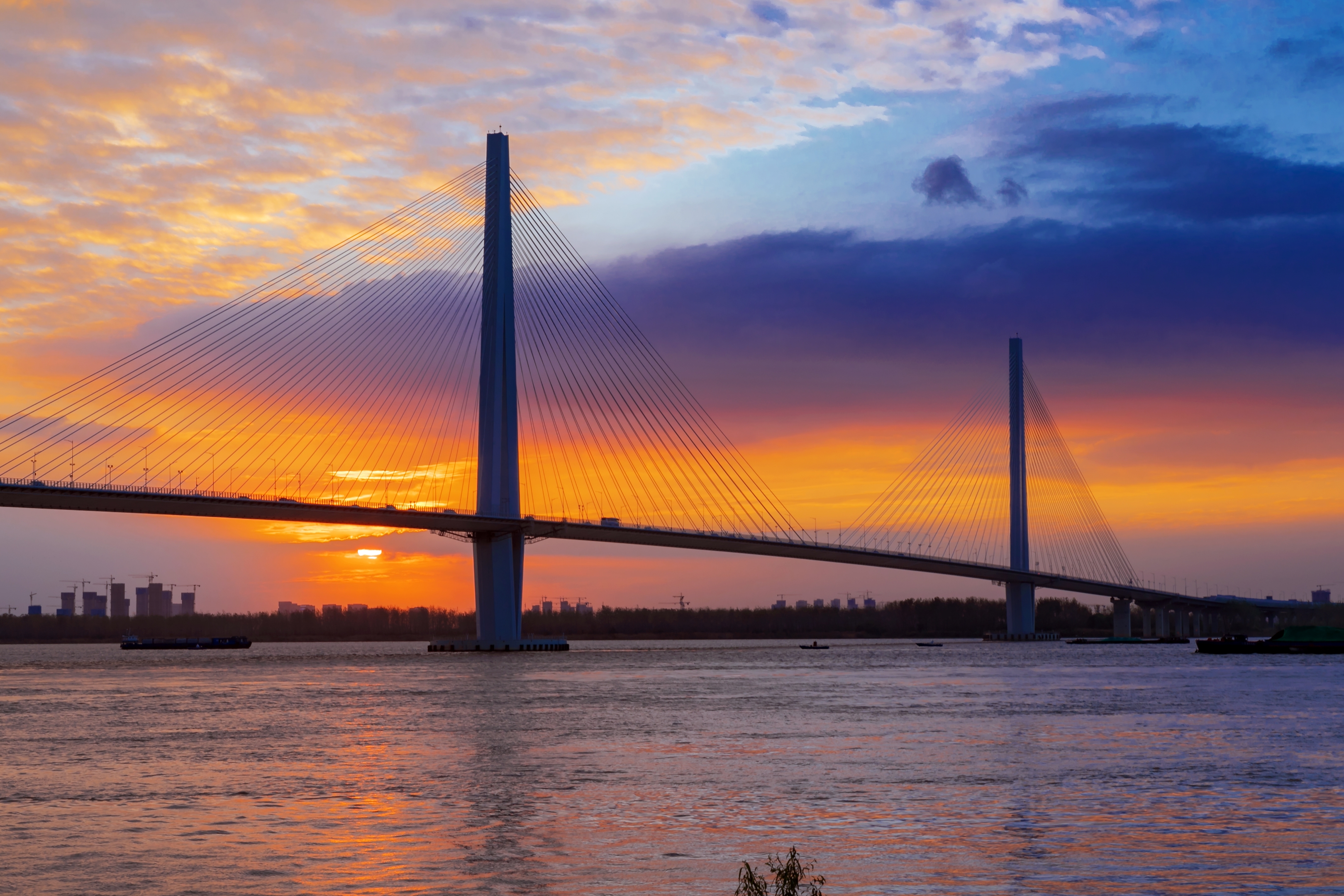 夕阳下的长江五桥(首发)