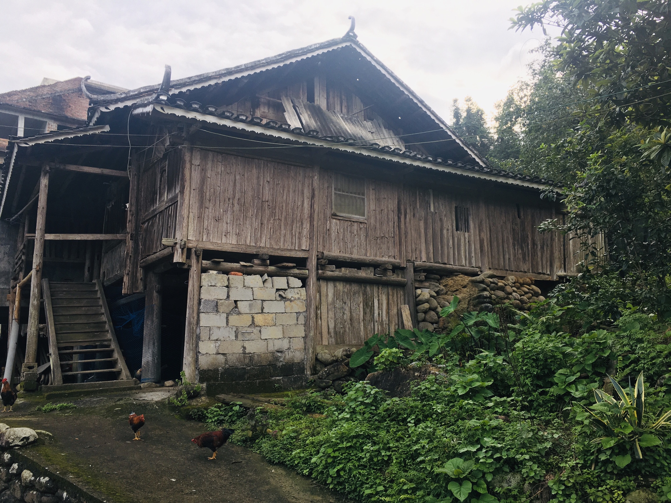 融水雨卜小潘木屋图片