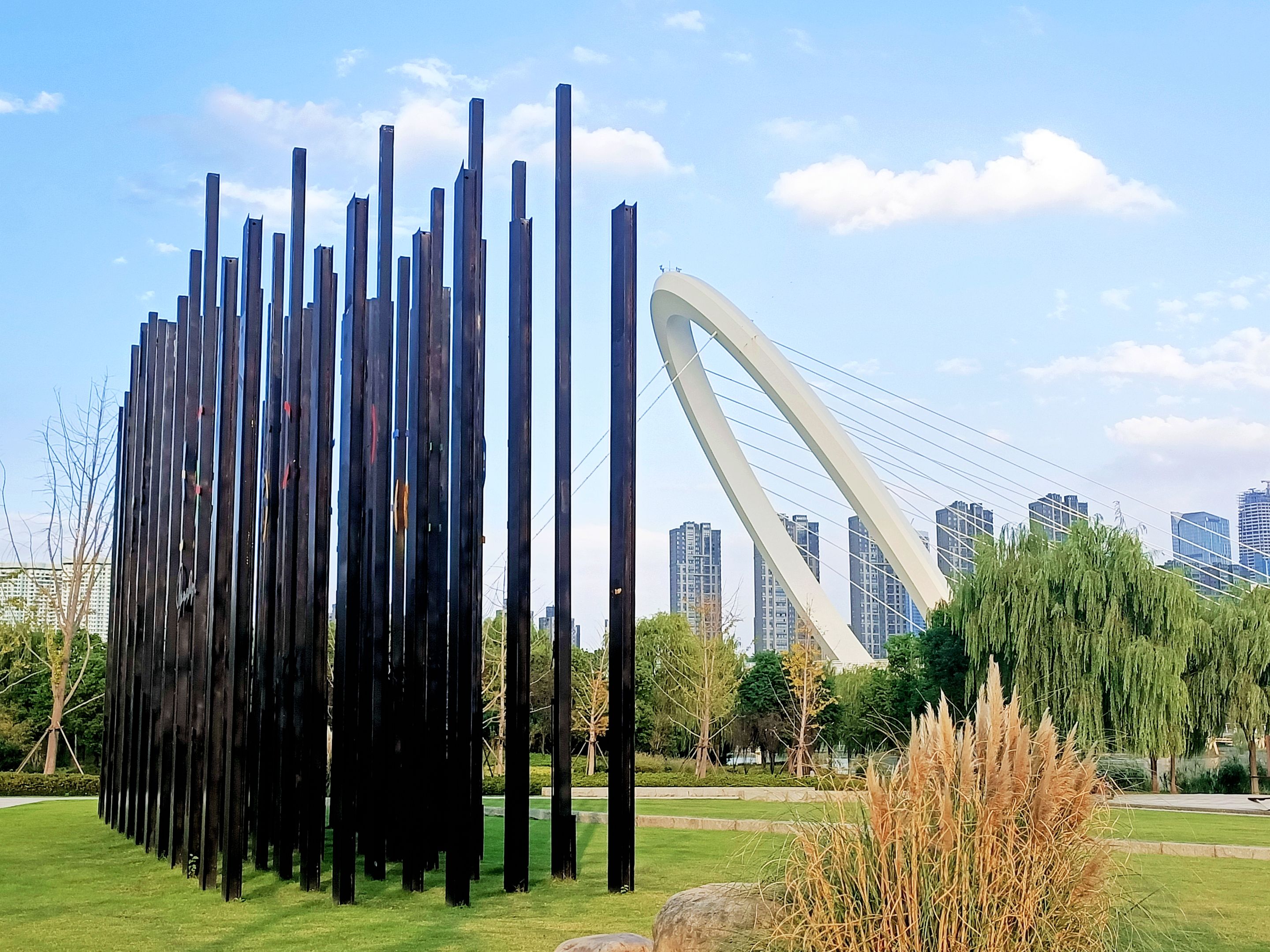 首发[守望南京]21卷长江水岸之江心洲