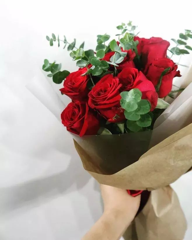 文/云雾 朵朵玫瑰夺目鲜,群喧鼎沸夜不眠.