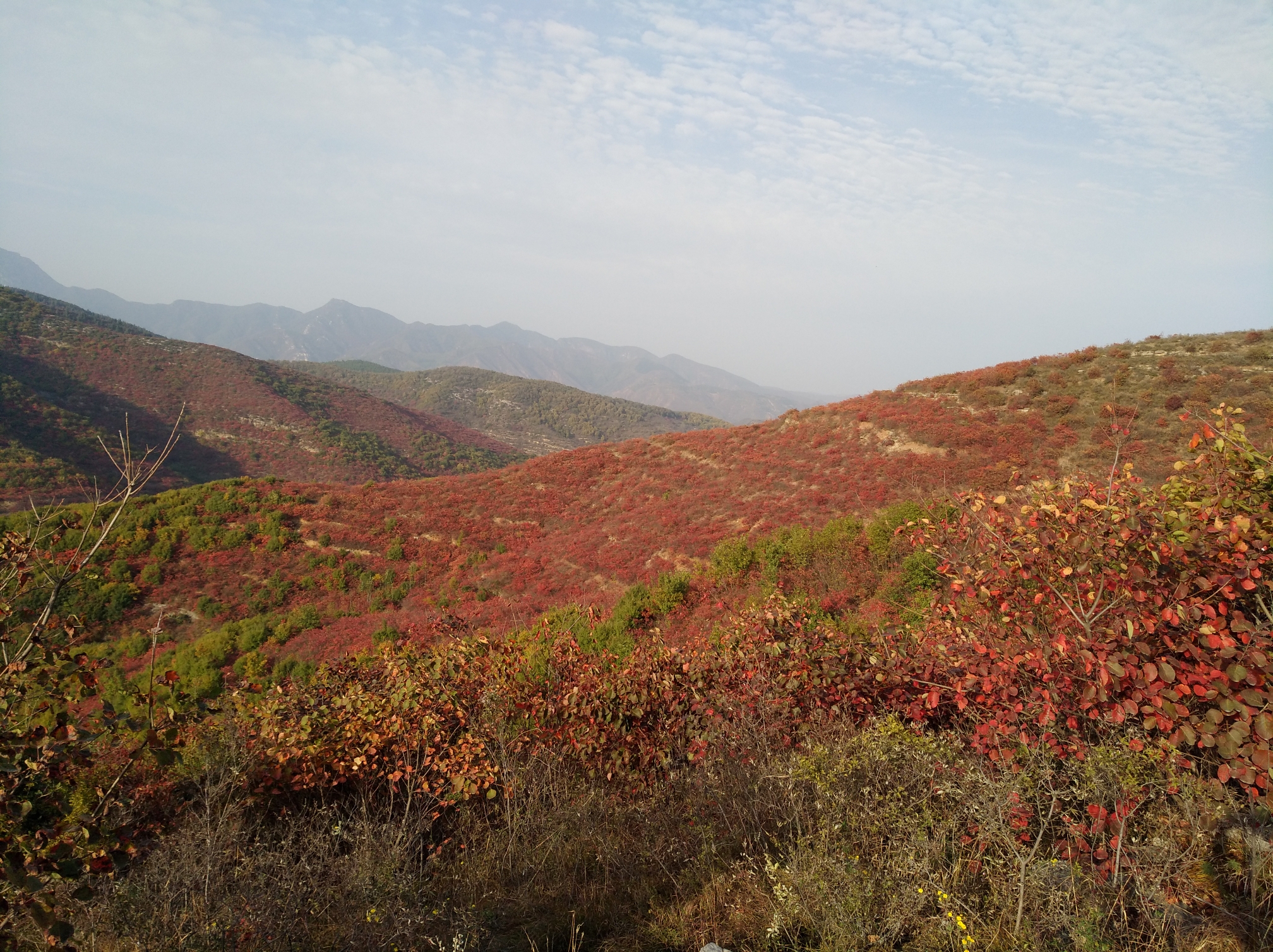 美丽大峪