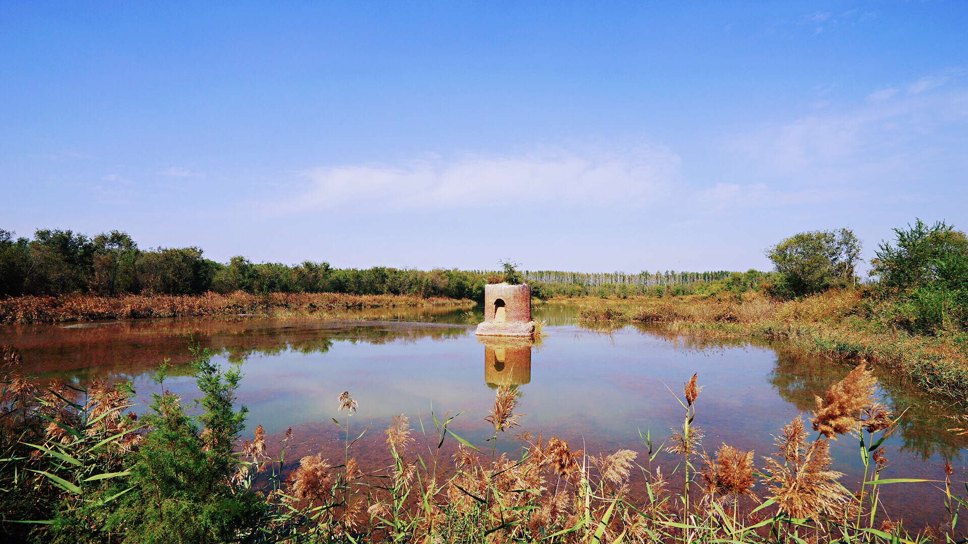 秋日私语行摄马颊河京杭运河两河湿地生态保护区