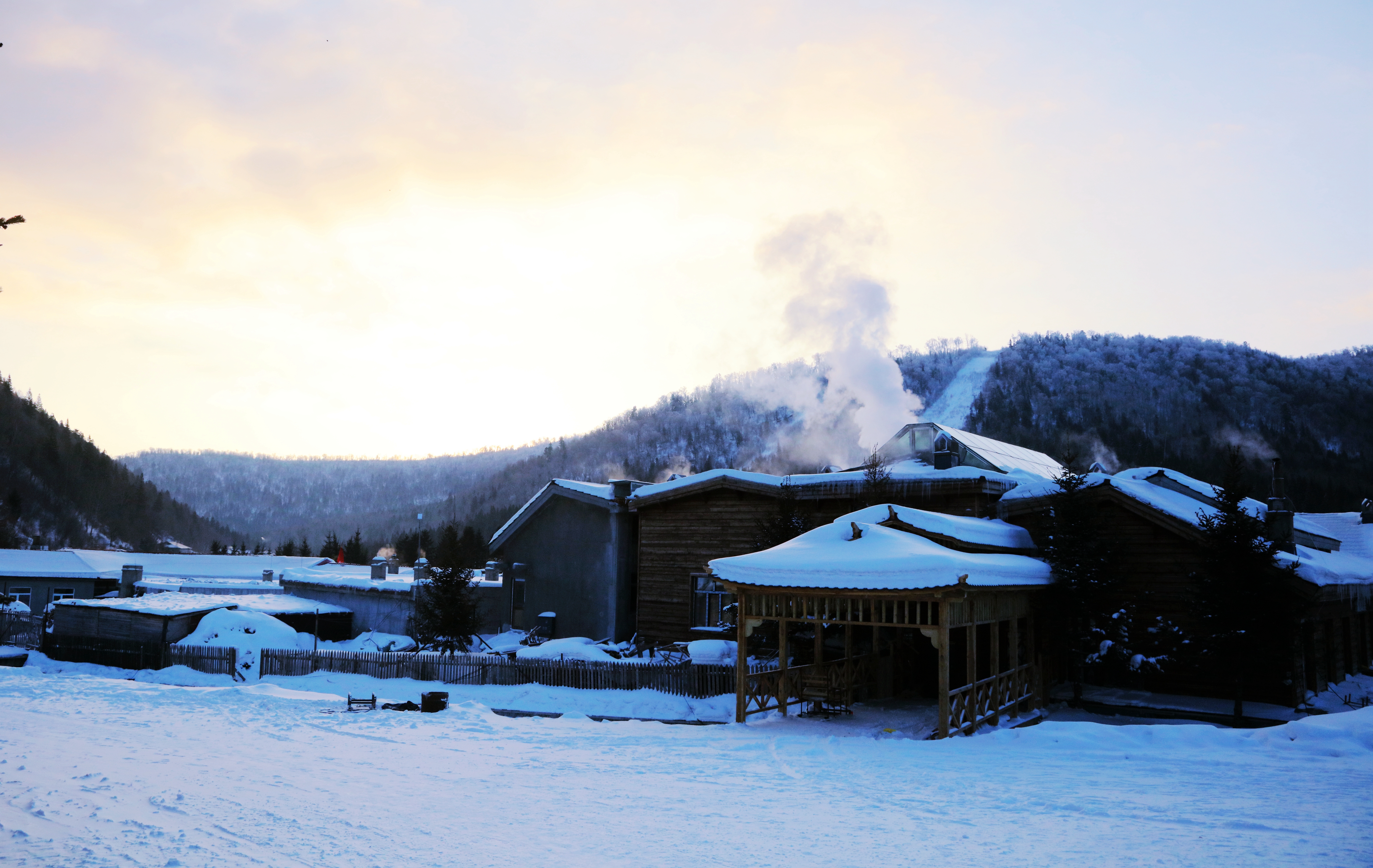 是山间无名的小花一朵  不绚丽  不张扬  平凡的只剩下了洒脱  这些