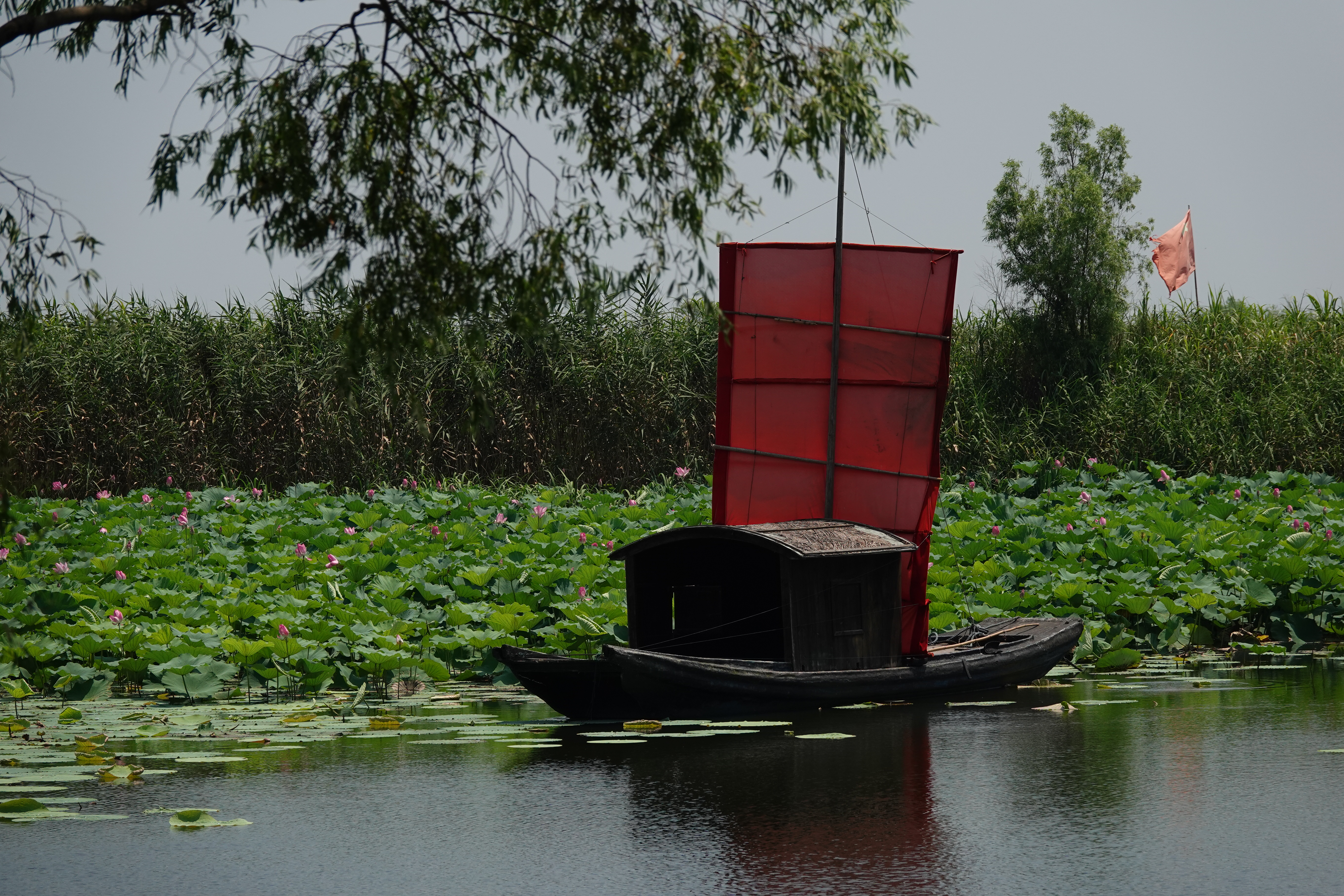 【首发】湖上小船