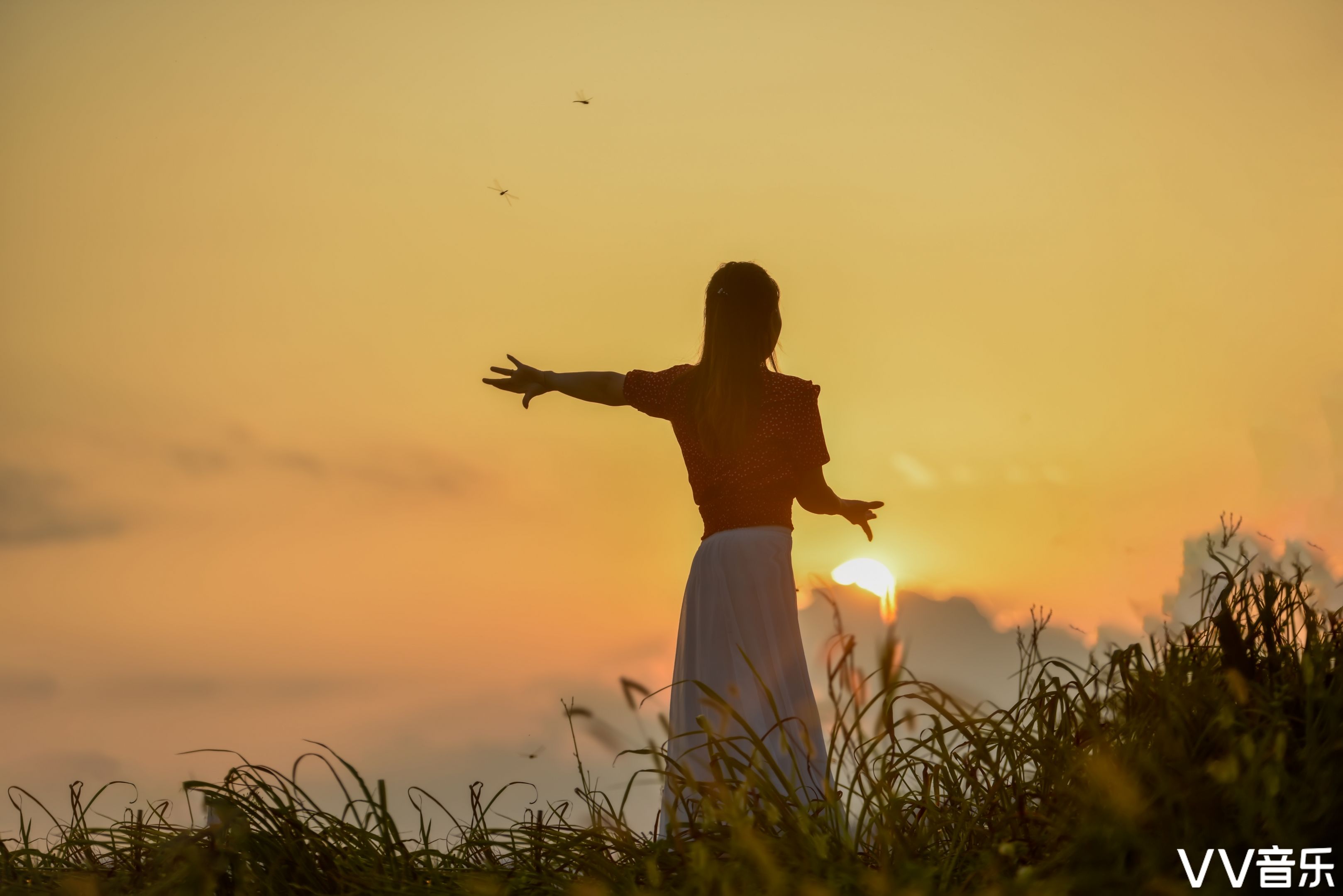 假如我是一片雪花,翩翩地在半空中潇洒,我一定认清我的方向,飞扬,飞扬