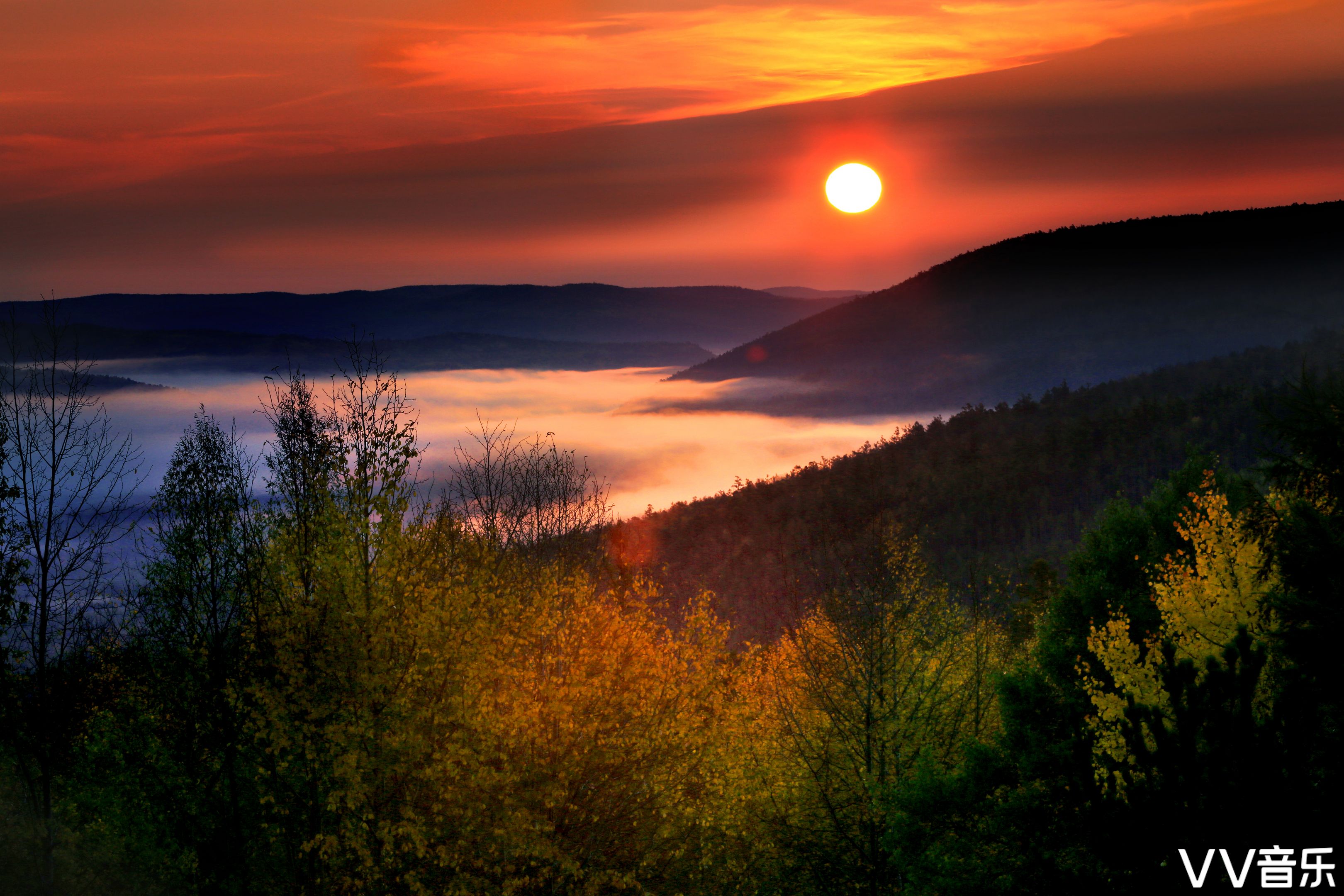 【中华摄影文学精英群】原创优秀摄影作品展(第103期)