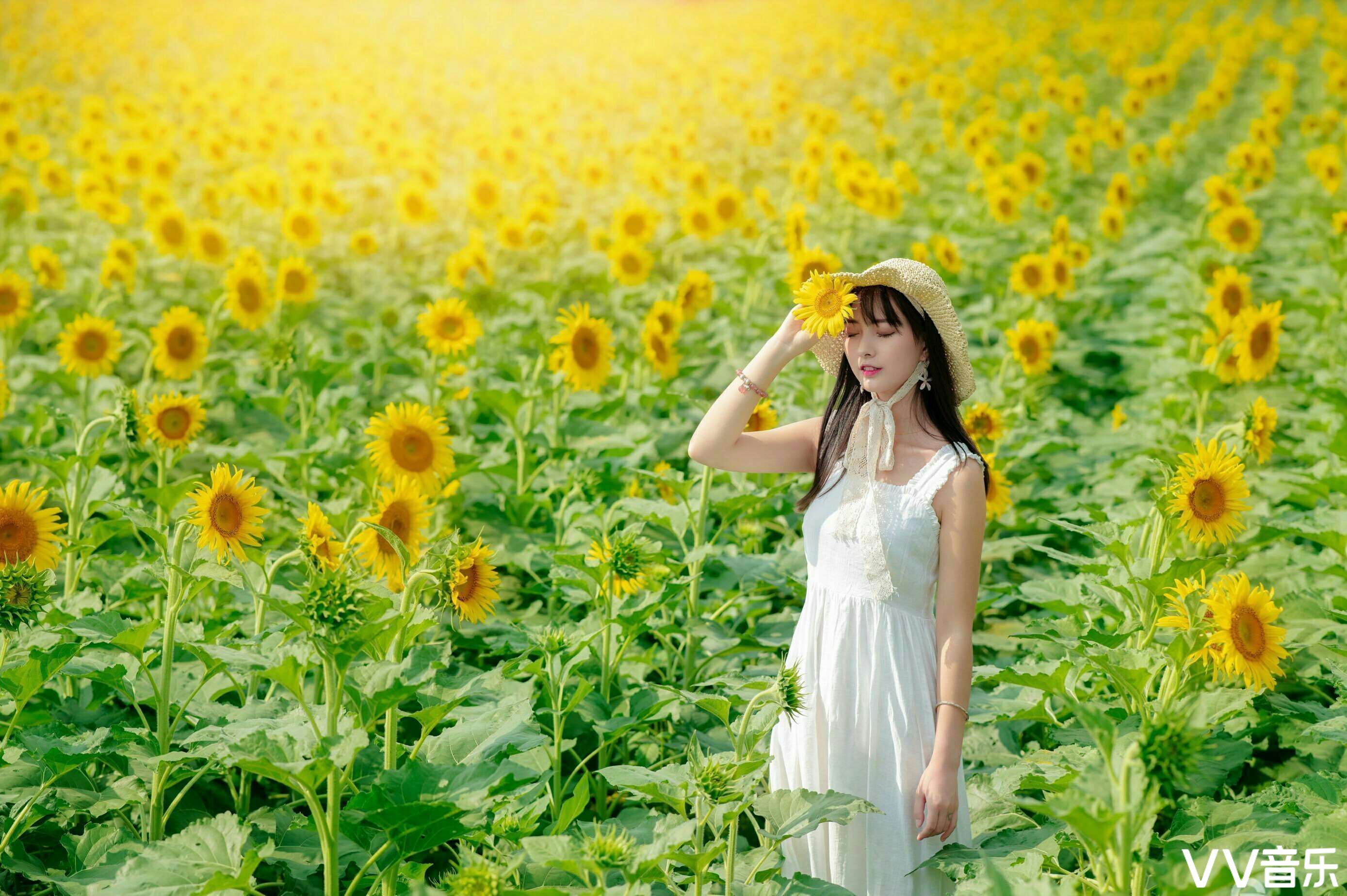 繁华落尽,嫣然一笑 剪一季嫣然,不问花开花落 拂一缕轻柔,不念风飘雨