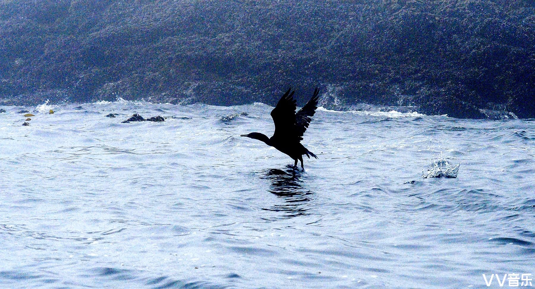 跟着大海一起浪&出海猎奇