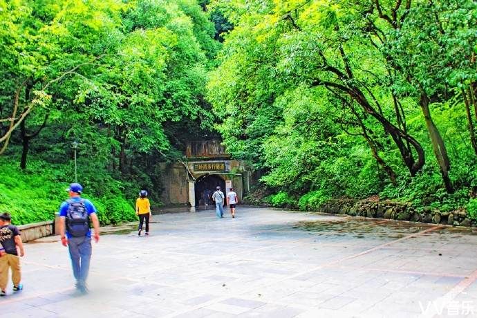 黔靈山公園,獼猴成最大亮點,領略人與動物和諧相處的自然情趣