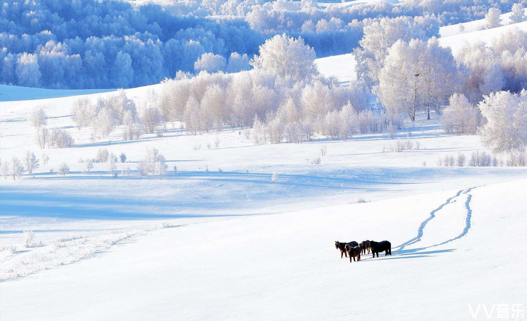 览胜寒冬醉雪乡【原创首发】