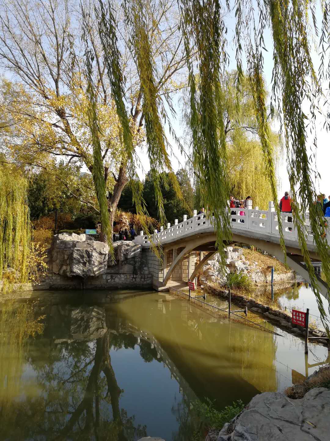 遊覽紫竹院公園