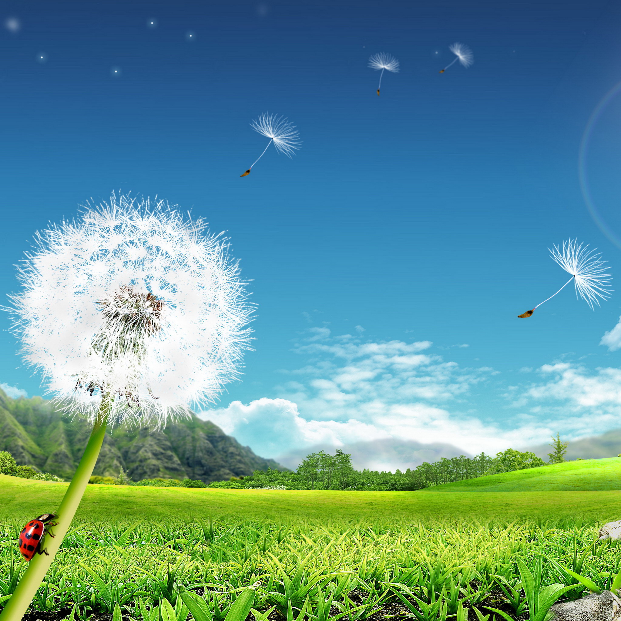 约会春天.金典诗词