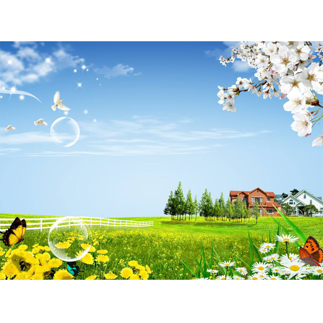 约会春天,向往美好