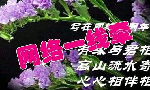 网络一线牵