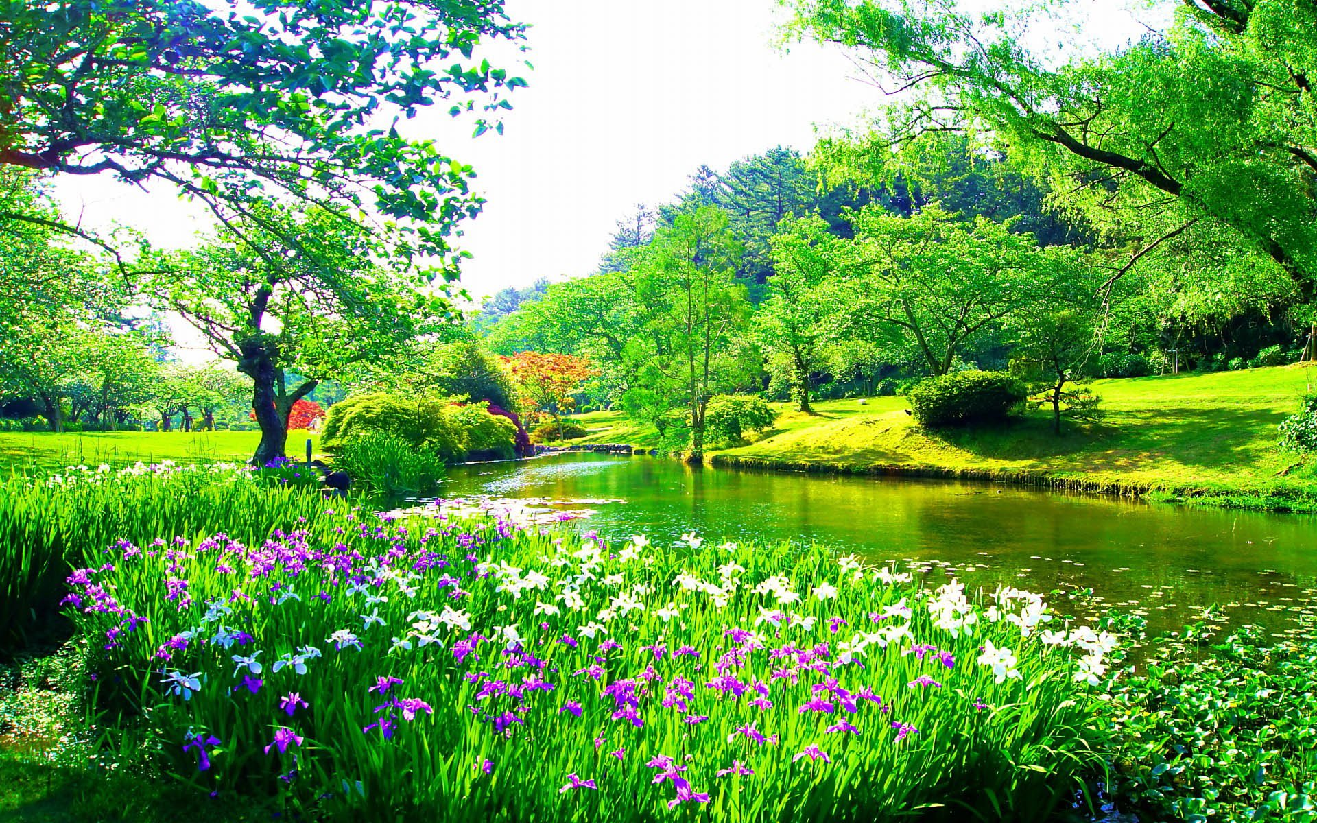 约会春天之每个人心中都有一片草原