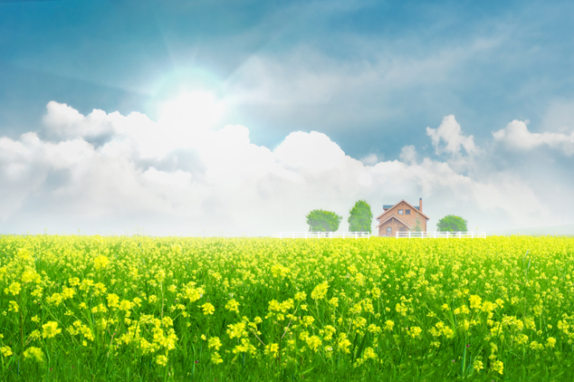 时间是治愈的良药