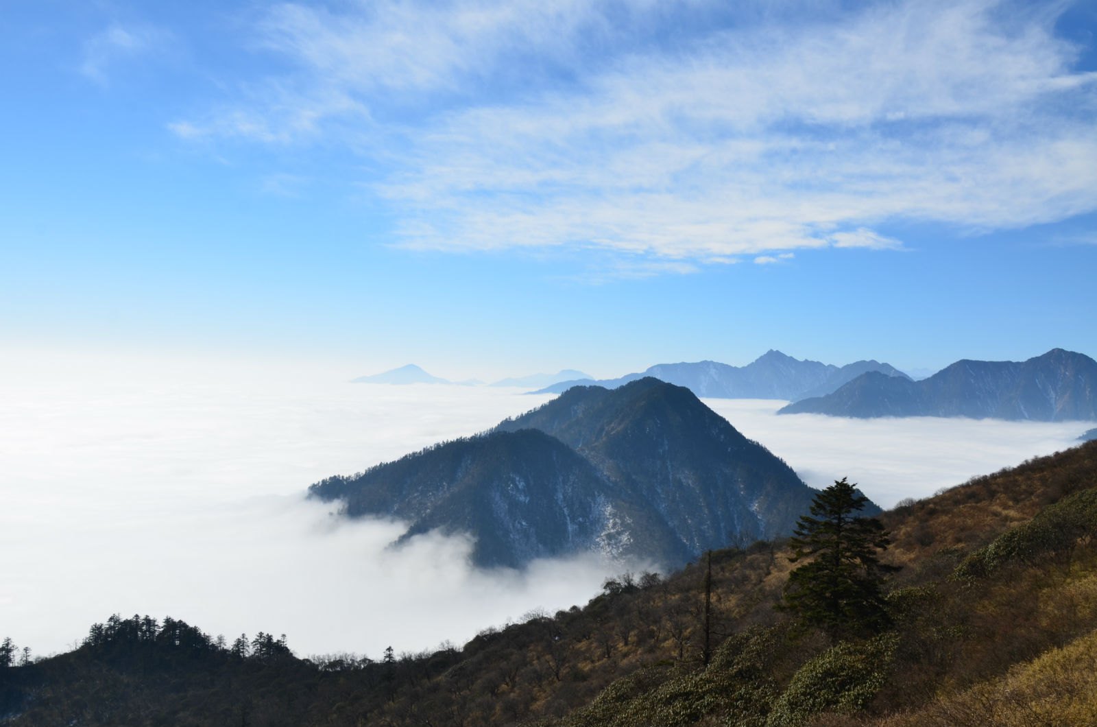 窗含西岭千秋雪西岭雪山
