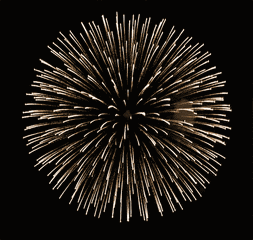 253_240gif 动态图 动图