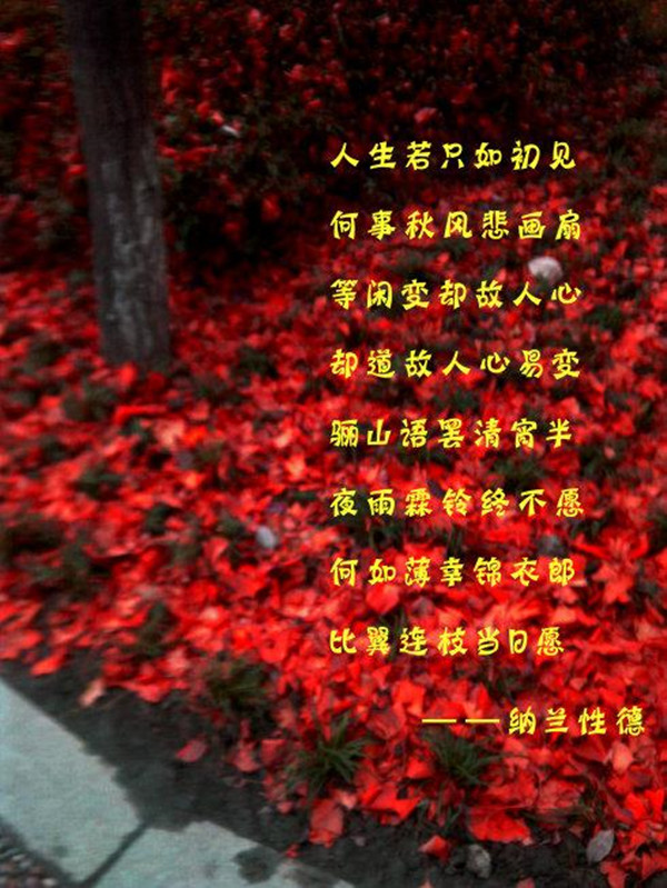 人生若只如初见作者你若安好制作蓝雨